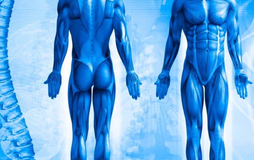 Qué es ser Entrenador Personal